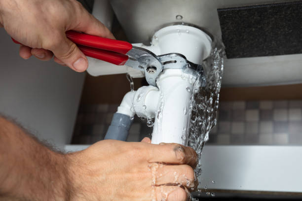 Best 24-hour water damage restoration  in Underwood Petersville, AL