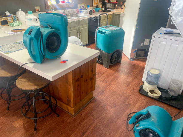 Best Flood damage cleanup  in Underwood Petersville, AL