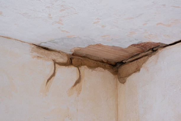 Best Flooded house restoration  in Underwood Petersville, AL