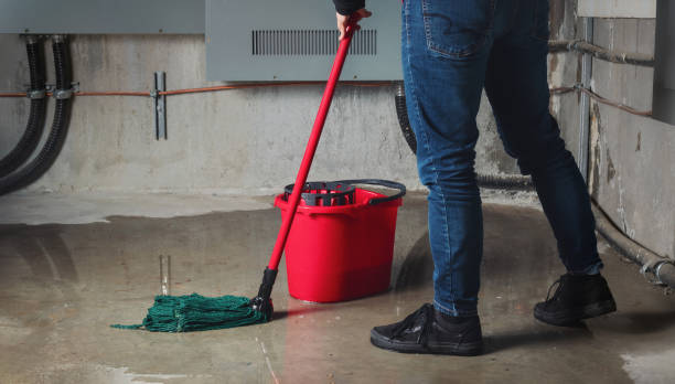 Best Carpet water damage restoration  in Underwood Petersville, AL
